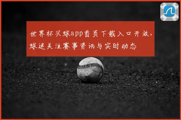世界杯买球app首页下载入口开放,球迷关注赛事资讯与实时动态