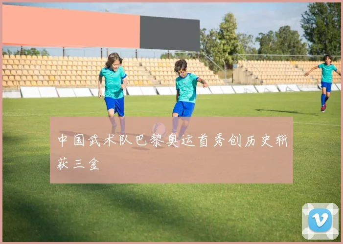 中国武术队巴黎奥运首秀创历史斩获三金